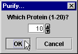 Protein 10