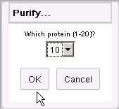 Protein 10