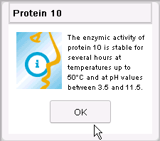 Protein 10 Details